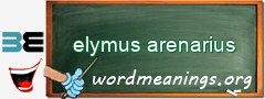 WordMeaning blackboard for elymus arenarius